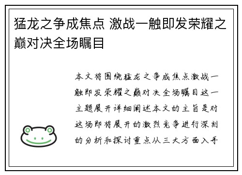 猛龙之争成焦点 激战一触即发荣耀之巅对决全场瞩目